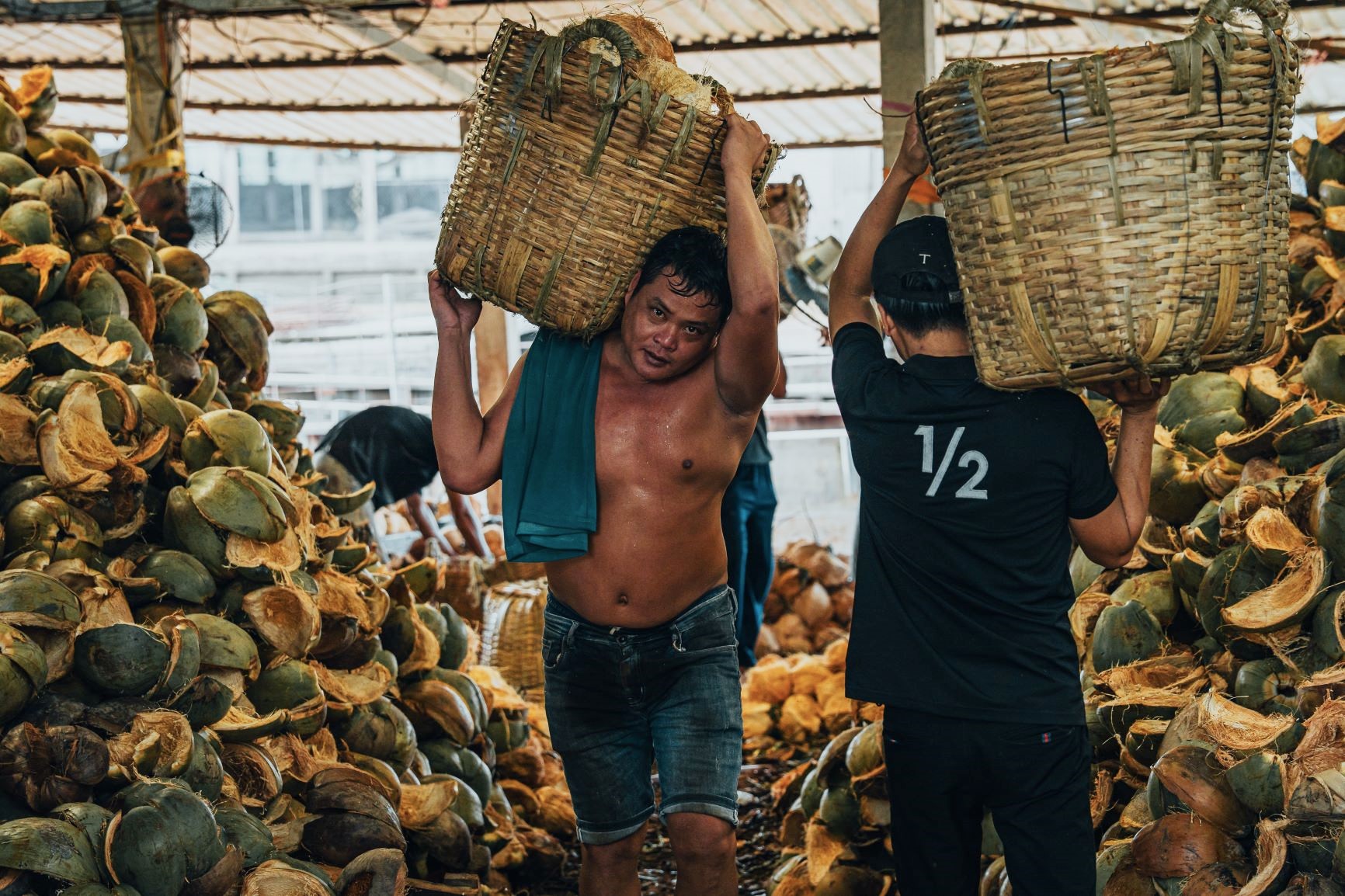 Bên trNét lam lũ của người dân xứ dừa. Dừa không chỉ thu hoạch để lấy nước, cùi mà còn khai thác cả xơ, vỏ dừa, sọ dừa... sơ chế và tạo tác các món đồ từ phục vụ đời sống hàng ngày cho đến đồ thủ công mĩ nghệ xuất khẩu.ong một xưởng thu mua, sơ chế dừa.