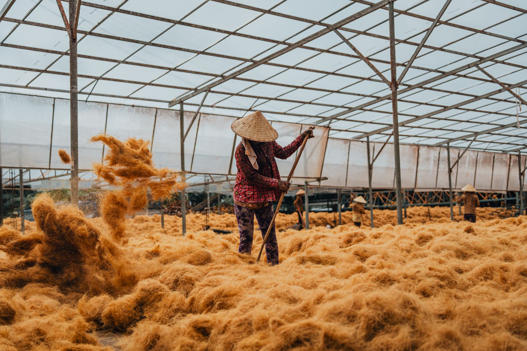 Dừa mua về được tách lấy cơm dừa, lột vỏ dừa riêng, từ vỏ tiếp tục xử lý thành xơ, làm sạch, phơi khô, xử lý các loại vi sinh có hại... để sản xuất thành nhiều sản phẩm khác nhau.