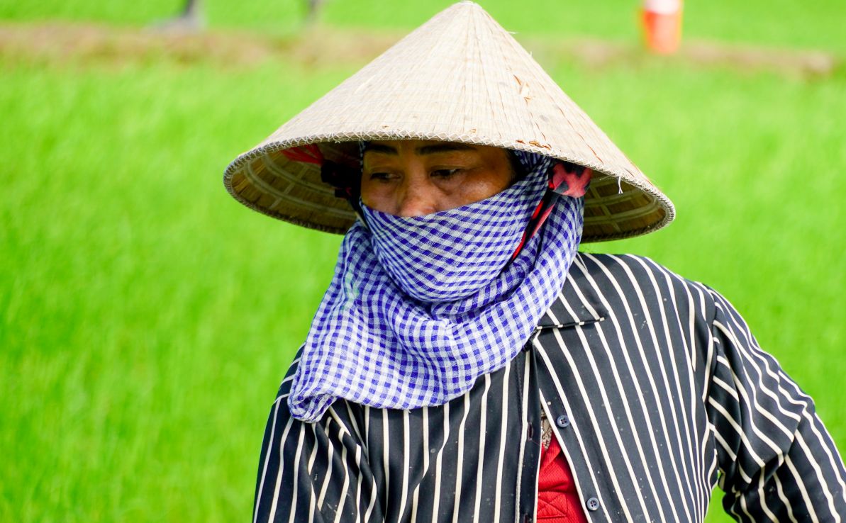 Làm việc dưới trời nắng nên hầu hết lao động đều che chắn cẩn thận.