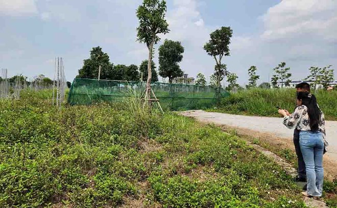 Bất động sản có nguy cơ đóng băng khi đánh thuế chuyển nhượng quá cao