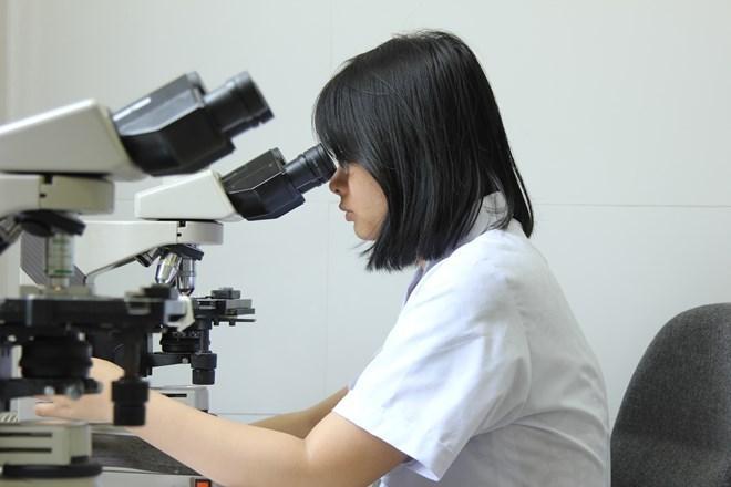 Từ 1.10, phụ nữ độc thân được phép thực hiện thụ tinh trong ống nghiệm