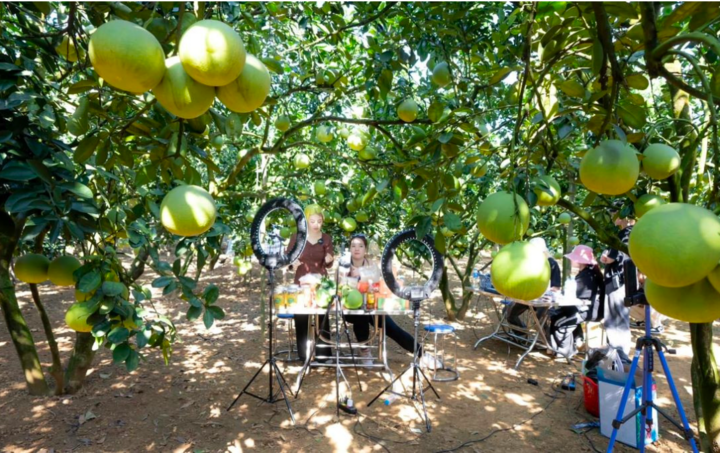 Nhiều đặc sản của đồng bào dân tộc thiểu số ở Phú Thọ tiêu thụ thuận lợi nhờ thương mại điện tử. Ảnh: Trí Chiến