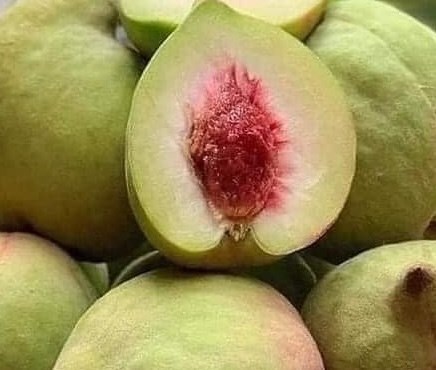 Ăn bao nhiêu quả đào không làm tăng đường huyết