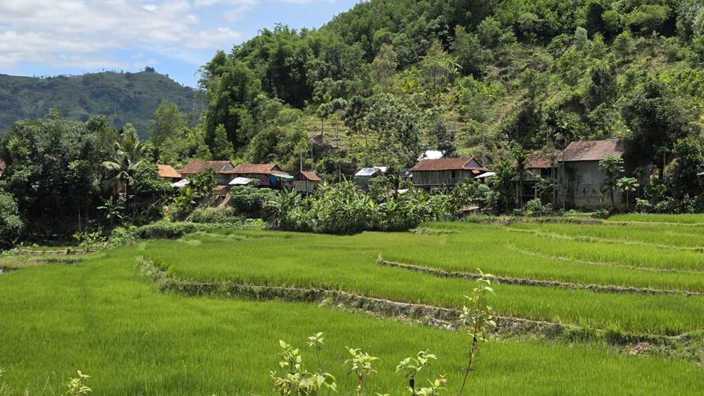 Áo xanh tình nguyện “xóa mù” kĩ năng số cho đồng bào Ca Dong - ảnh 5