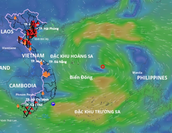 Dự báo đường đi của áp thấp nhiệt đới trong 24 đến 48 giờ tới