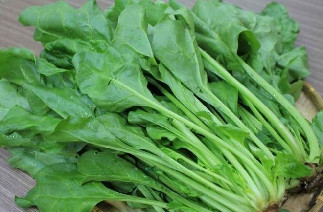 Ăn mỗi ngày những thực phẩm này giúp cơ thể khỏe mạnh