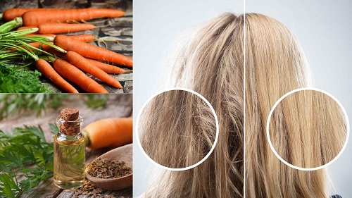 Bí quyết phục hồi tóc xơ rối với dầu cà rốt. Đồ họa: Minh Hoàng