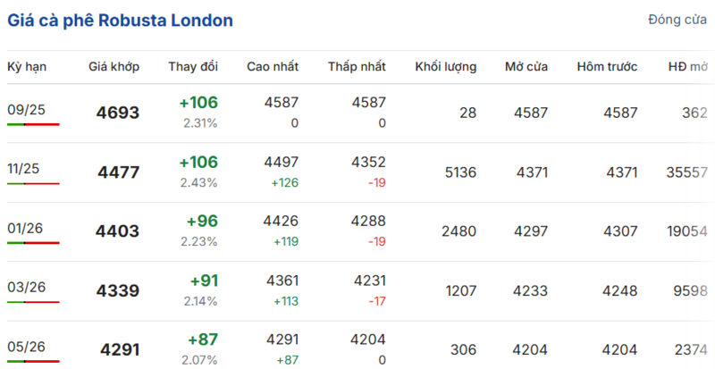 Giá cà phê Robusta London sáng ngày 11/9/2025