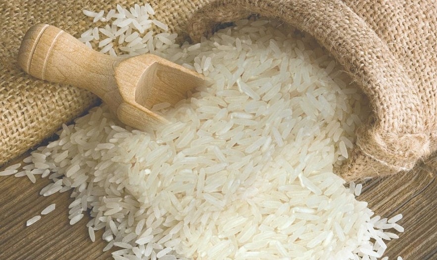 Giá lúa gạo hôm nay 11/8: Thị trường ổn định