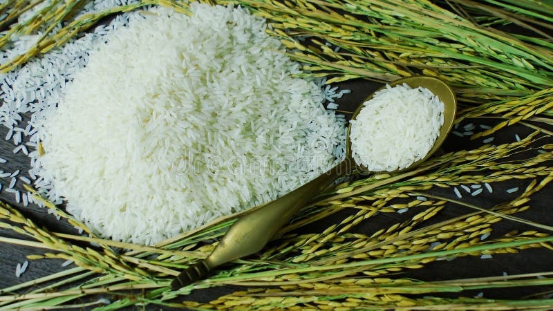 Giá lúa gạo hôm nay 17/7: Lúa giữ giá ổn định, gạo nguyên liệu tăng giá nhẹ