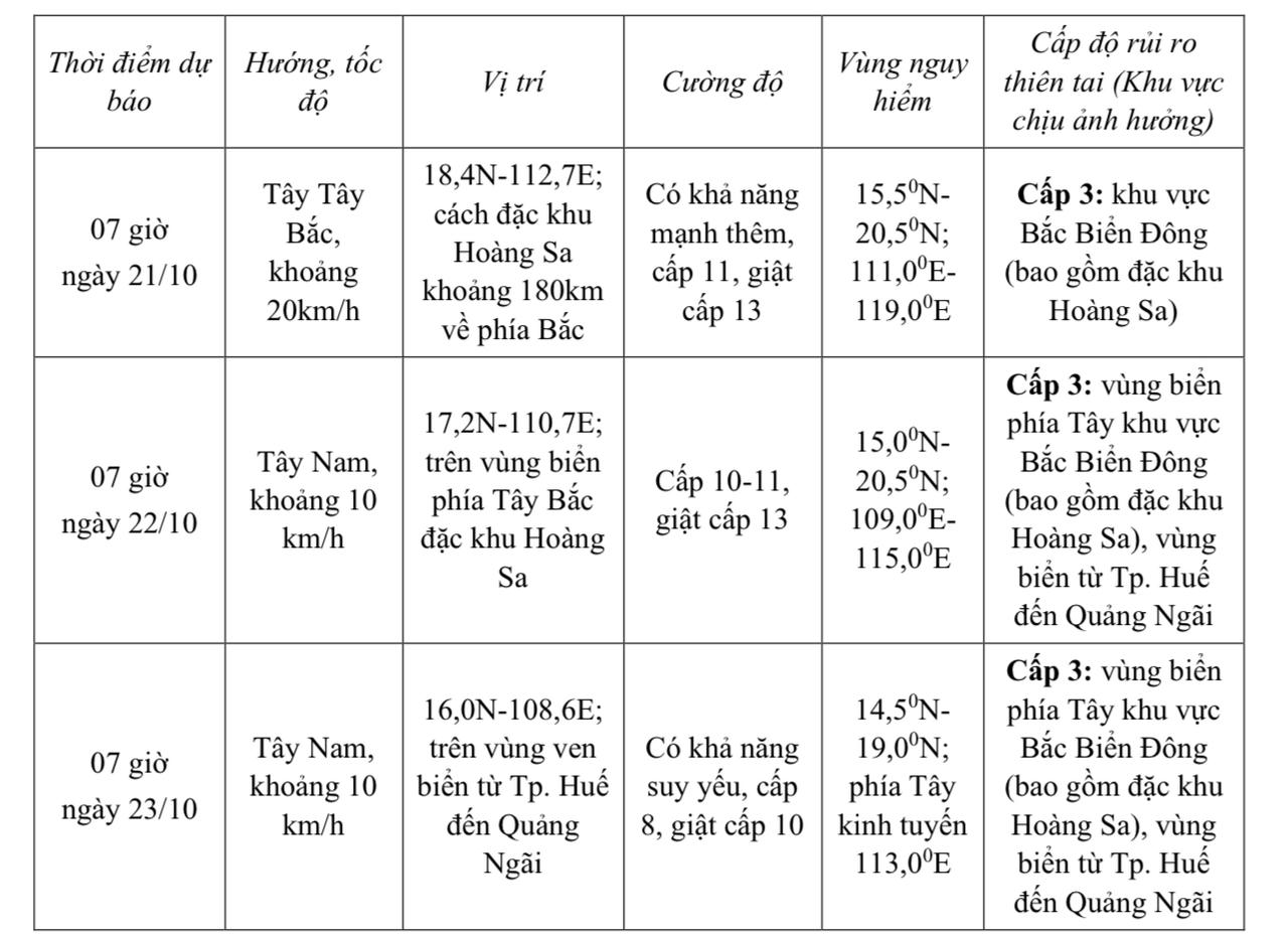Bão số 12 cách Hoàng Sa 490km