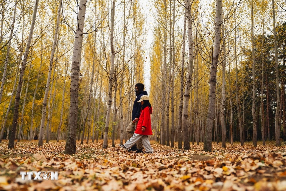 Cảnh đẹp mùa thu tại tỉnh Cát Lâm, Trung Quốc. (Ảnh: THX/TTXVN)