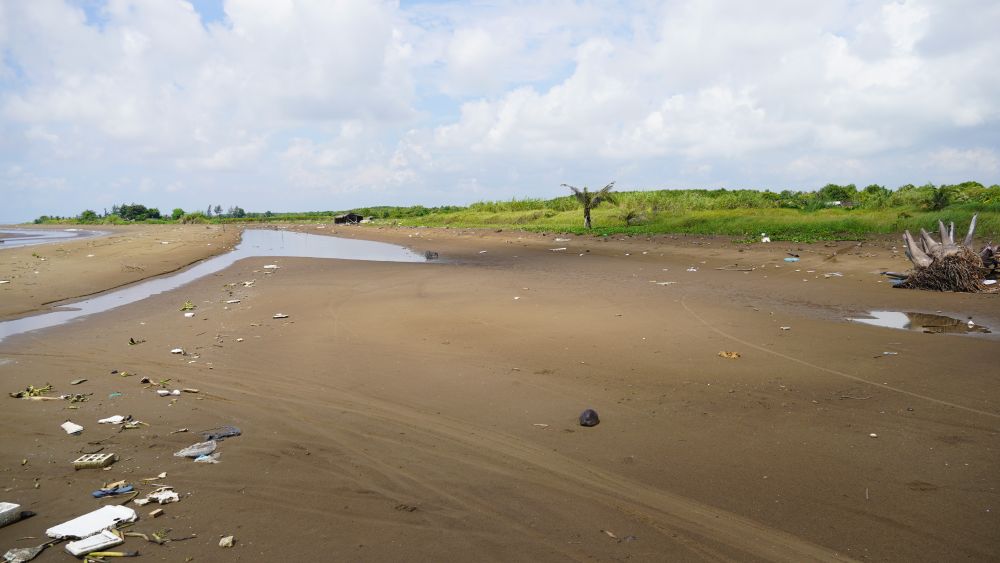 Triều cường, gió to, sóng lớn đã làm một đoạn bờ biển trên địa bàn xã Vĩnh Hải (TP Cần Thơ) bị sạt lở, ảnh hưởng sản xuất, sinh hoạt của người dân. Ảnh: Phương Anh