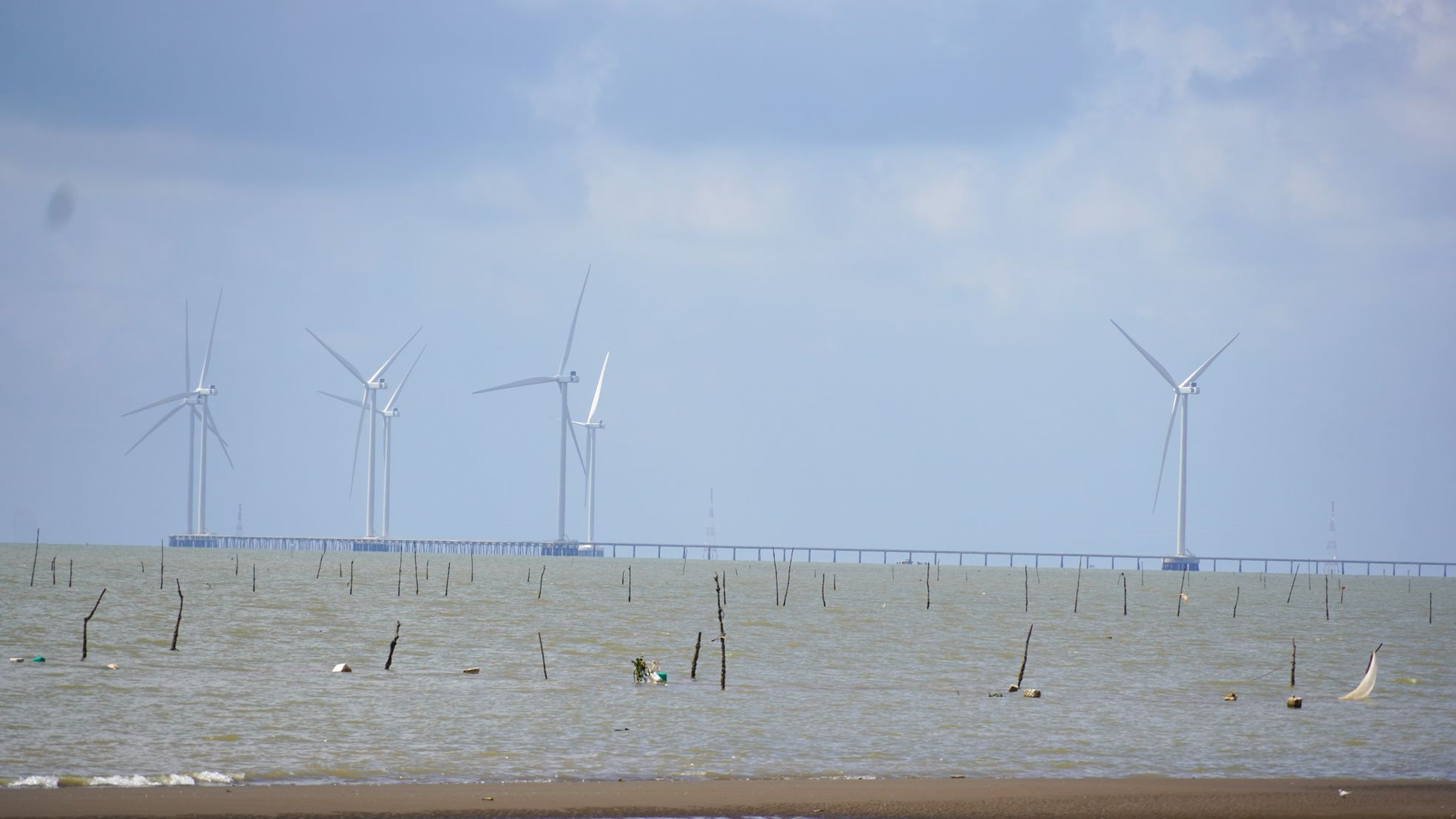 Hệ thống điện gió đang mở ra hướng phát triển năng lượng xanh cho TP Cần Thơ. Ảnh: Phương Anh