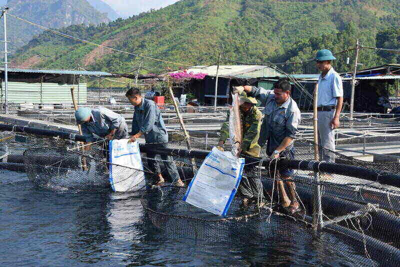 Khu vực nuôi cá lồng tại bản Lả Mường, xã Mường La. Ảnh: Trường Sơn