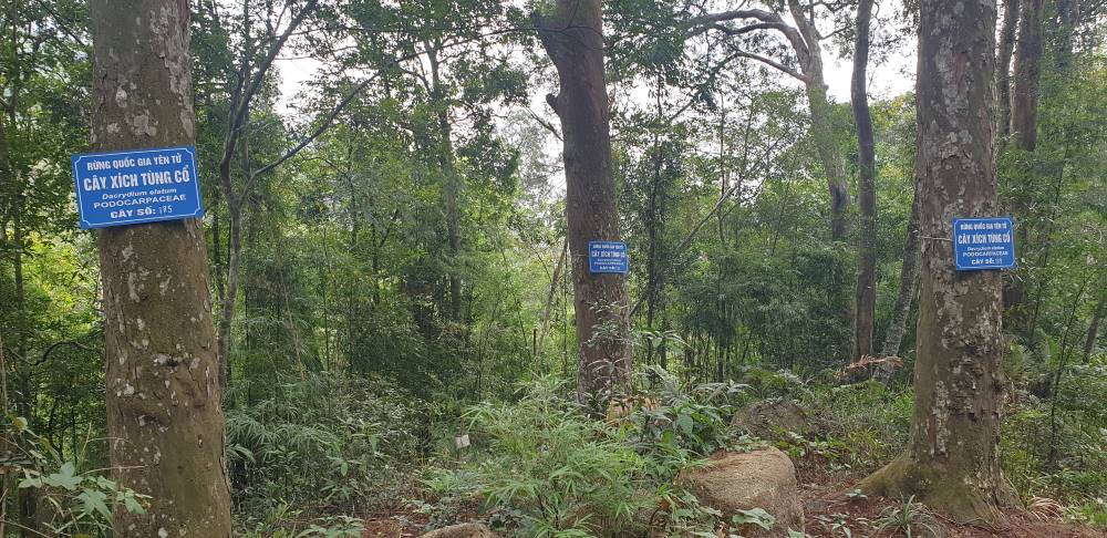 Am Dược cổ nằm ngay khu vườn Xích Tùng cổ Yên Tử. Ảnh: Nguyễn Hùng