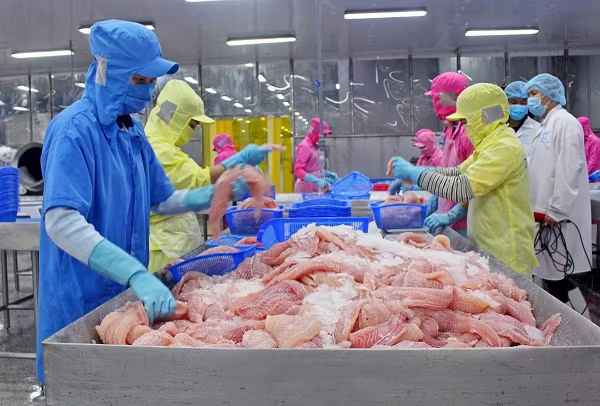 Đẩy mạnh tận dụng quy tắc xuất xứ trong CPTPP