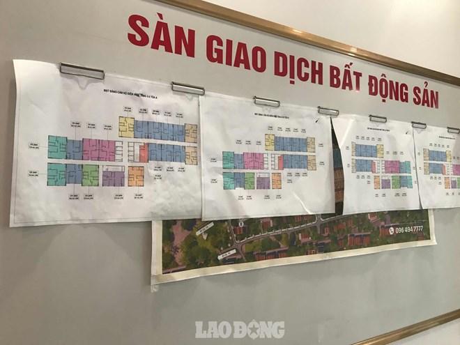 Sở Xây dựng Quảng Trị kiểm tra việc mua bán nhà ở xã hội trên địa bàn