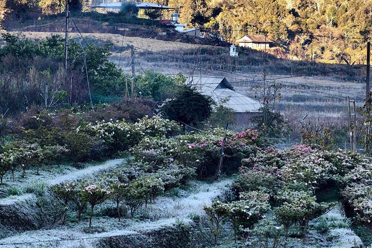 Ảnh: Thân Quý Võ