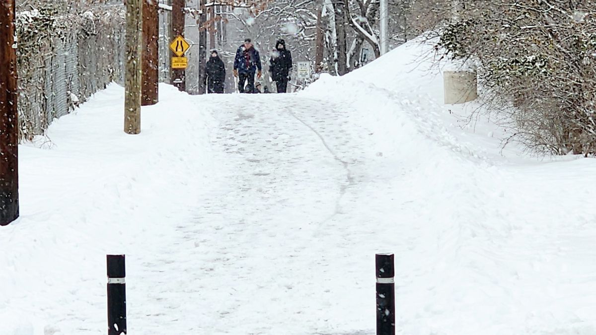Bão tuyết ngày 8.1.2025 ở Riverdale Park, Maryland, Mỹ. Ảnh: NOAA