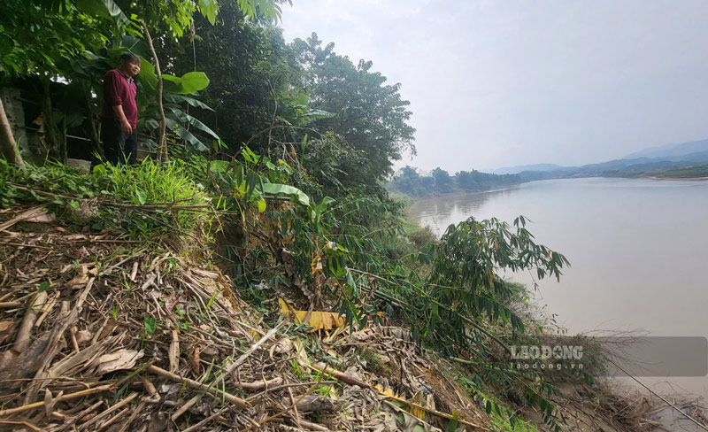 Người dân địa phương mong ngóng việc xử lý sạt lở và cắt lũ trên sông Hồng. Ảnh: Duy Dũng