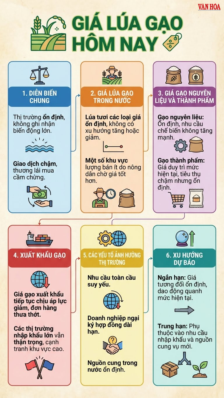 Giá lúa gạo ngày 12.12: Trong nước đứng vững, quốc tế giảm tốc - ảnh 3