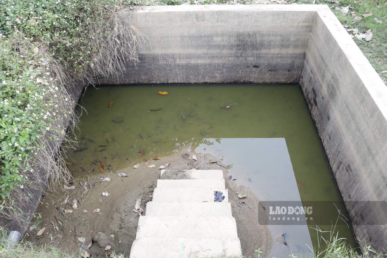 Trạm bơm bị hư hỏng, xuống cấp không thể bớm nước khiến các bể trữ cạn trơ đáy. Ảnh: Văn Đức