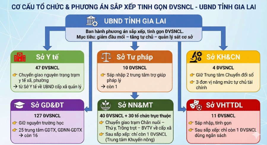 Phương án sắp xếp. Đồ họa: Trà My