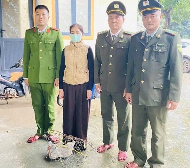 Phát hiện vụ vận chuyển trái phép cầy vòi hương quý hiếm