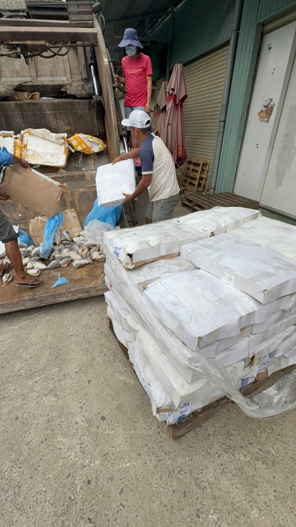 Tiêu hủy thực phẩm vi phạm bằng hình thức phối trộn rác thải chôn lấp