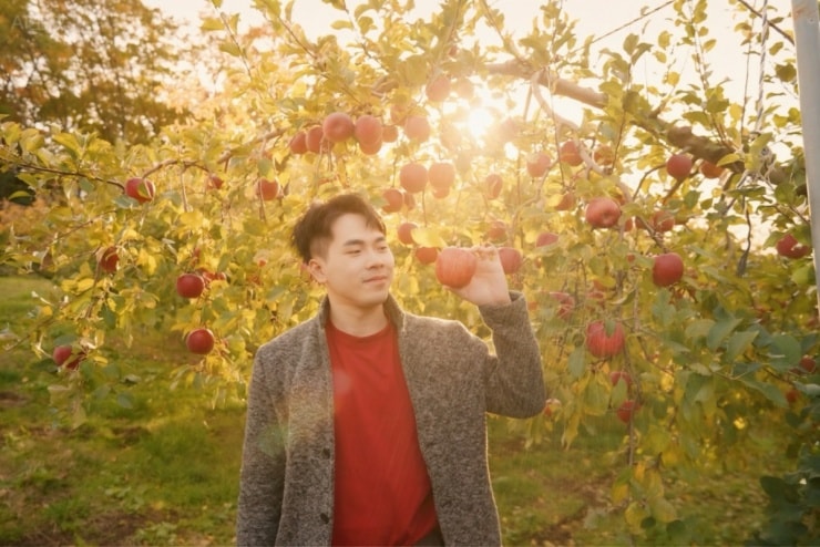 Trải nghiệm hái táo tại vườn Maruhara Orchard
